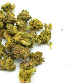 Tangelo THCa Hemp Flower Wholesale (Smalls) - Plants